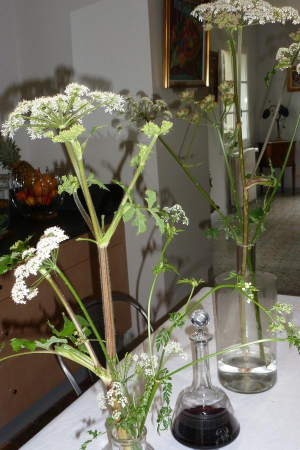 Le Petit Matin Bed & Breakfast Bayeux Ngoại thất bức ảnh